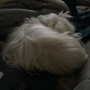 Meet your Posher, Dianne